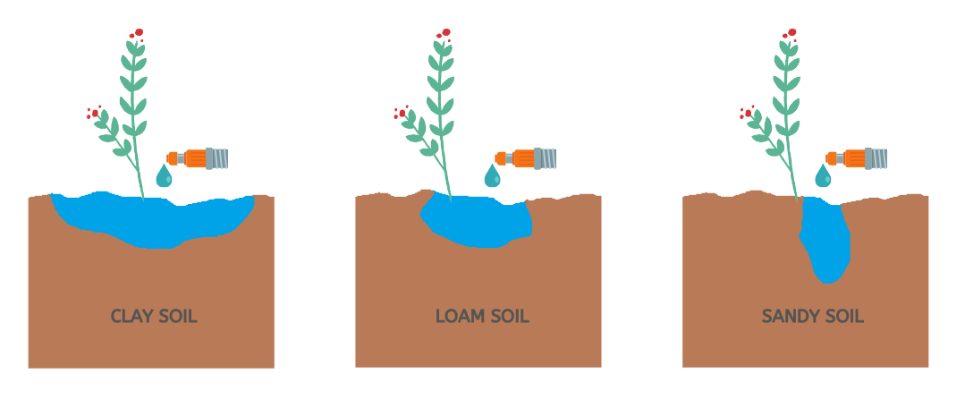Drip irrigation: System, components, advantages and disadvantages