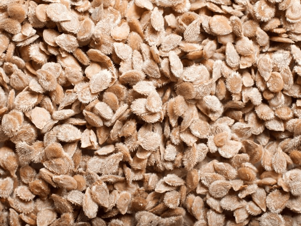 Complete guide to Tomato farming