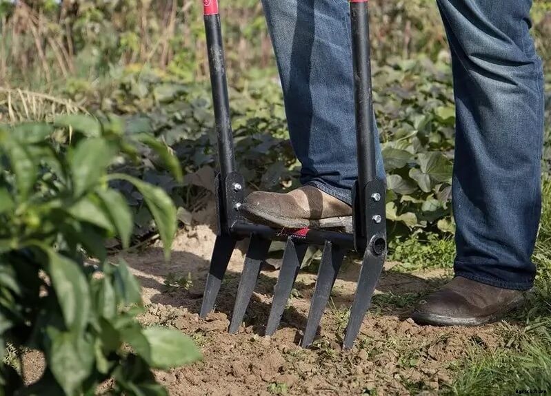 Zero Tillage practice in Agriculture