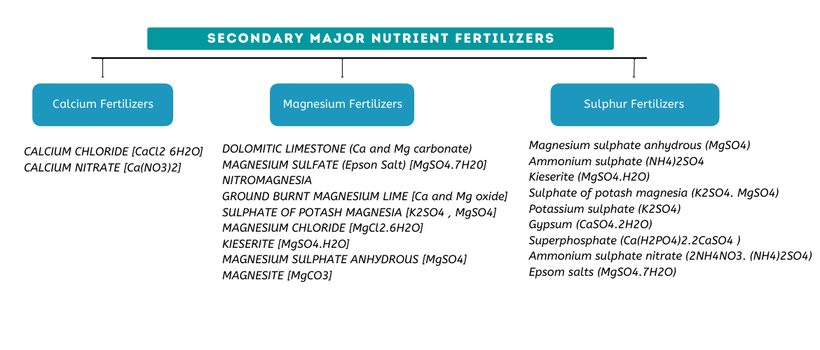 Complete guide to Types of Fertilizers : Their Classification and Use