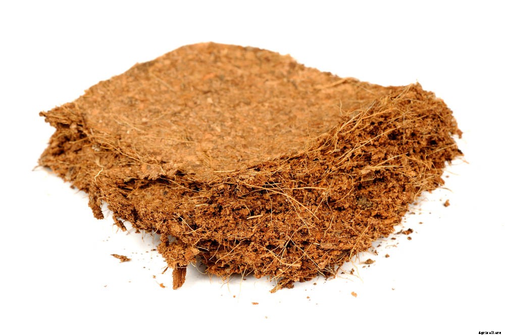 What is Cocopeat and how to make it