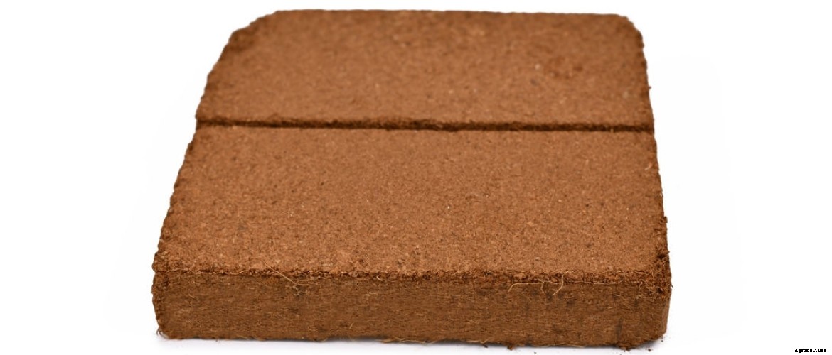 What is Cocopeat and how to make it
