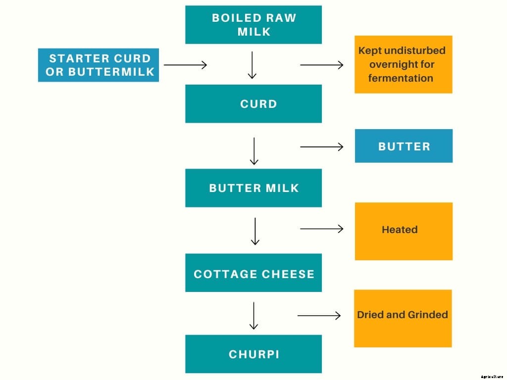 Churpi : Traditional Indian Subcontinental cheese