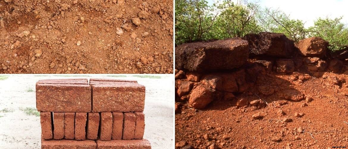 8 types of soils of India and soil distribution in India