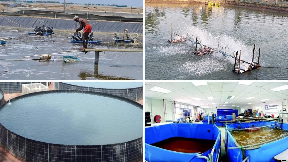 Best Agricultural Business and Agribusiness Ideas (75 ideas)