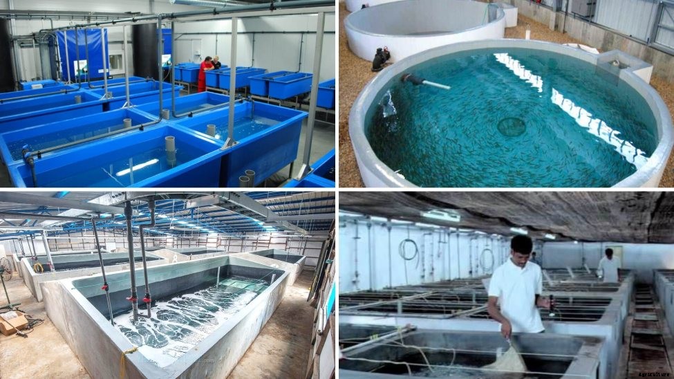 Best Agricultural Business and Agribusiness Ideas (75 ideas)