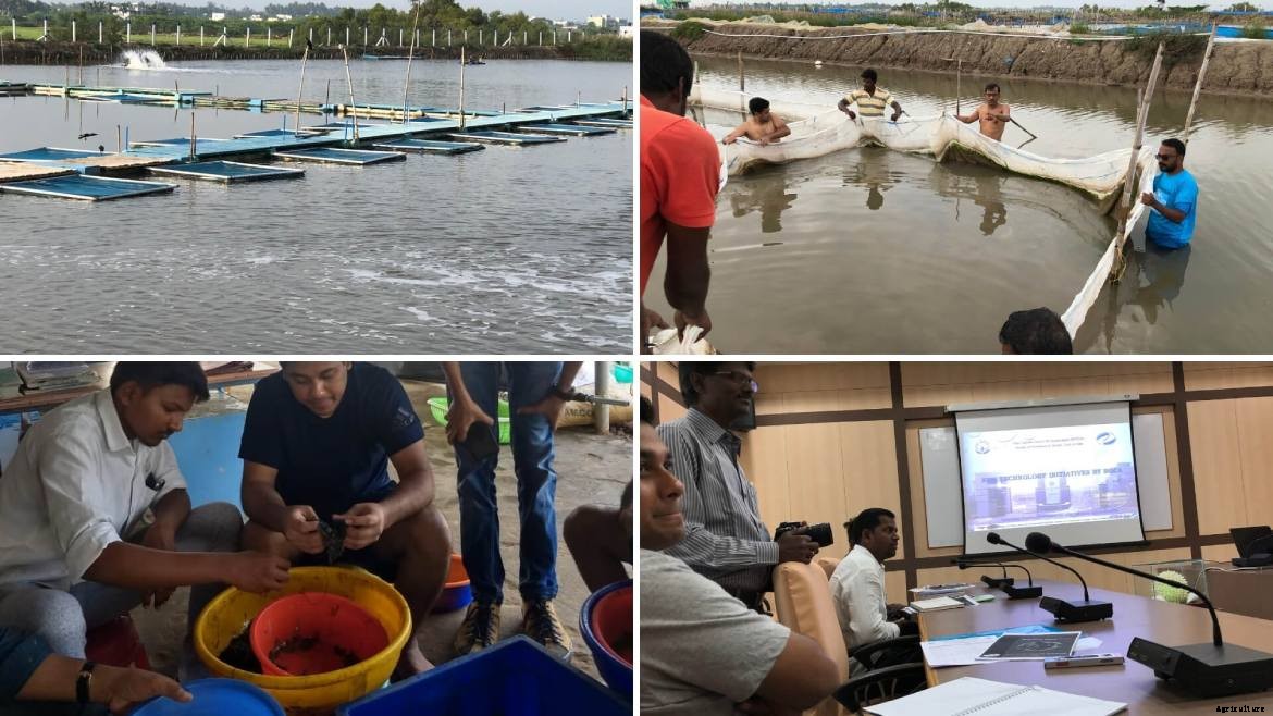 Best Agricultural Business and Agribusiness Ideas (75 ideas)