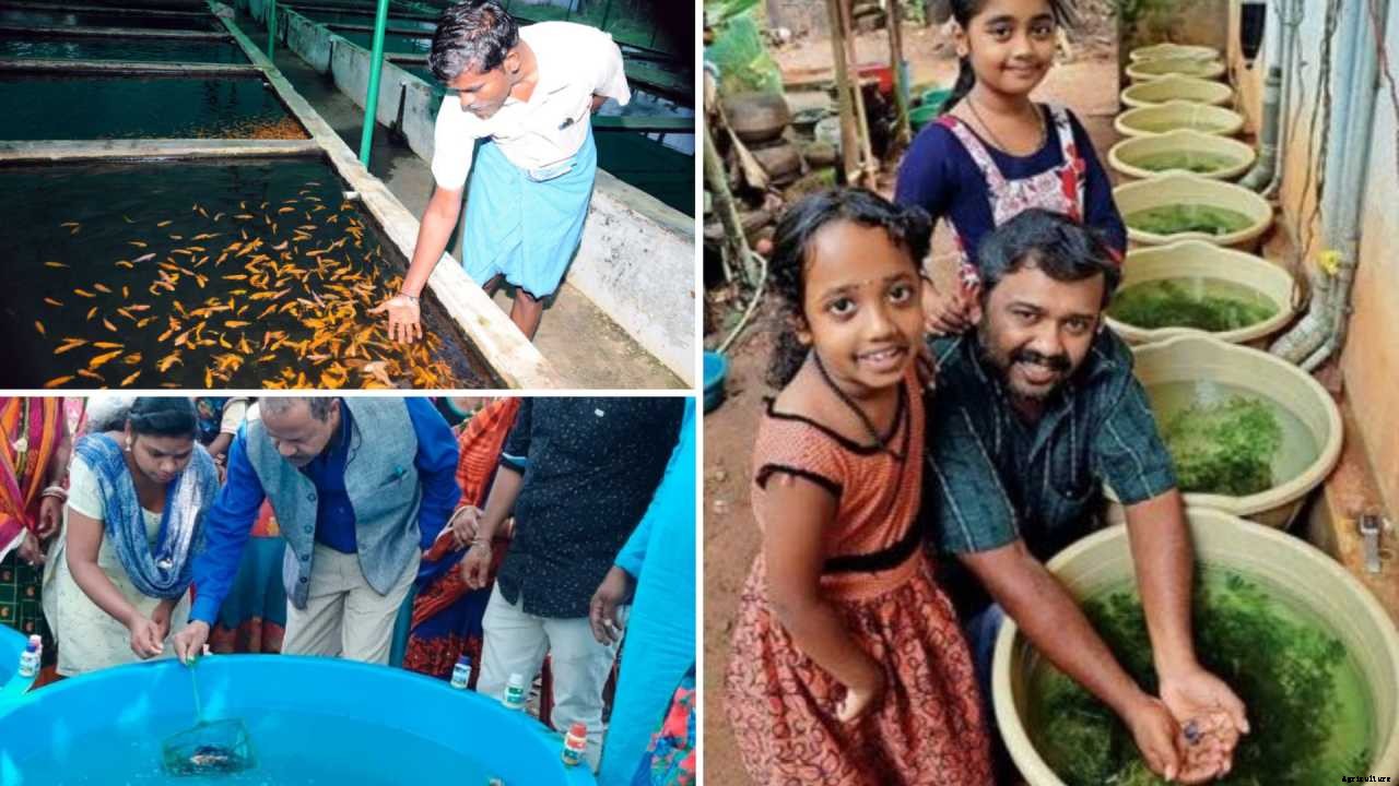 Best Agricultural Business and Agribusiness Ideas (75 ideas)