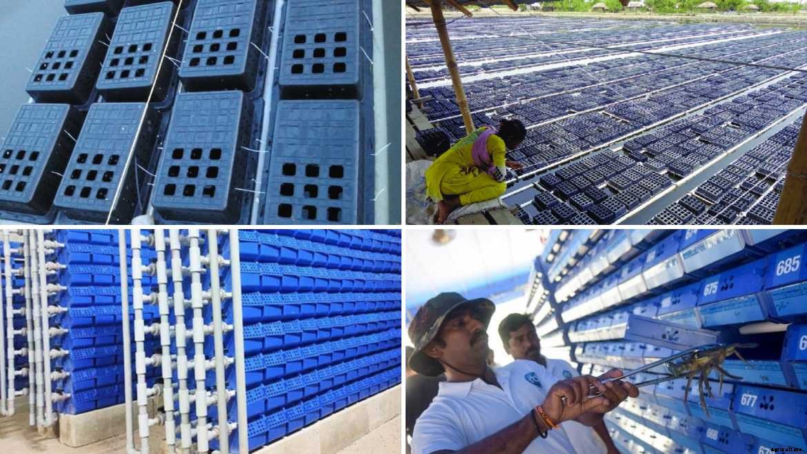 Best Agricultural Business and Agribusiness Ideas (75 ideas)