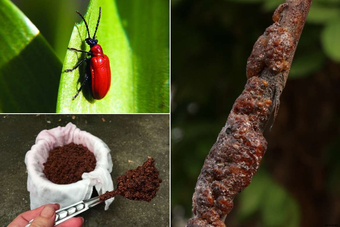 Best Agricultural Business and Agribusiness Ideas (75 ideas)