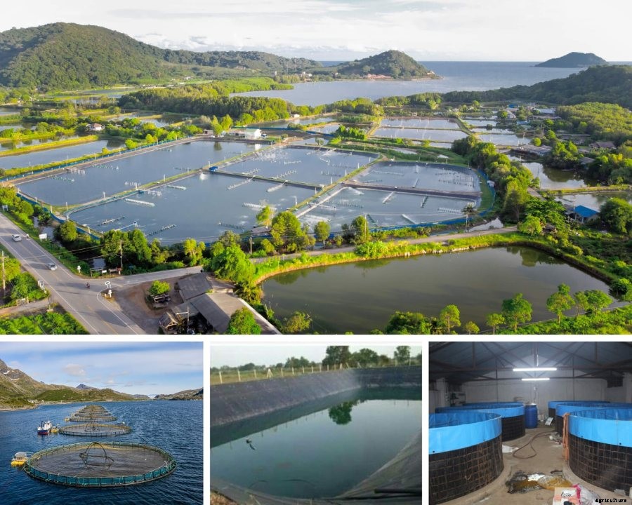 Best Agricultural Business and Agribusiness Ideas (75 ideas)