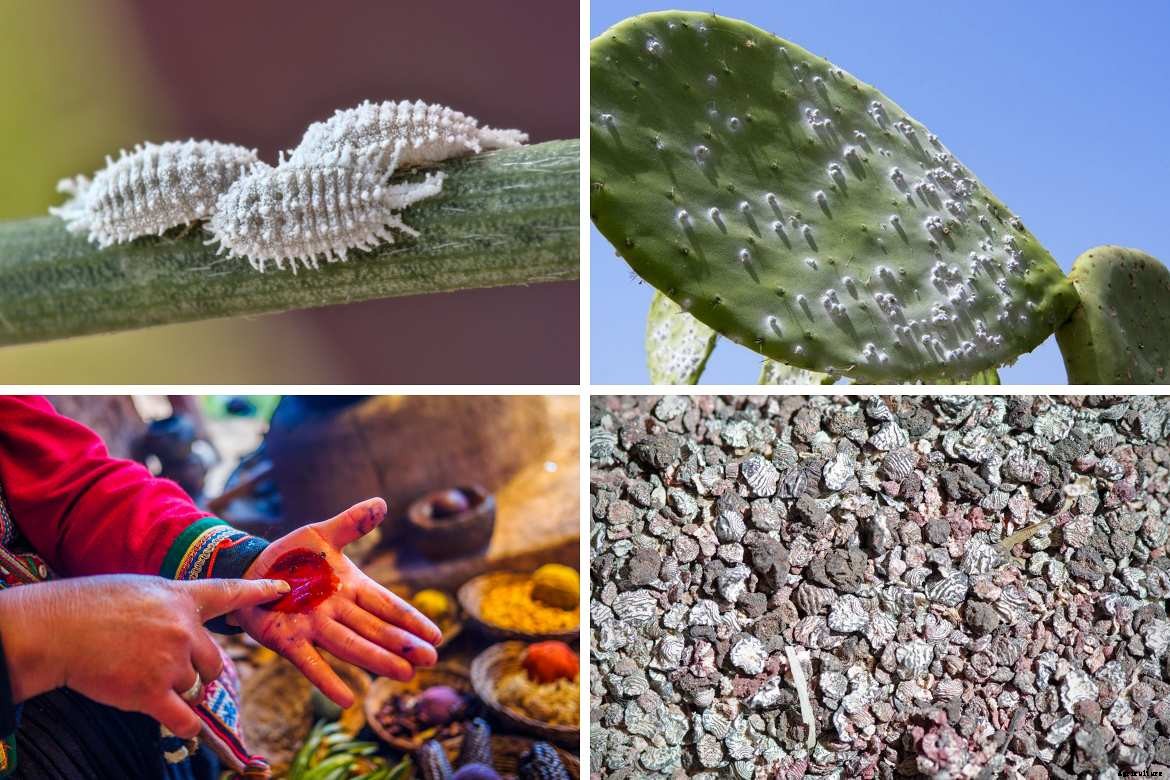 Best Agricultural Business and Agribusiness Ideas (75 ideas)