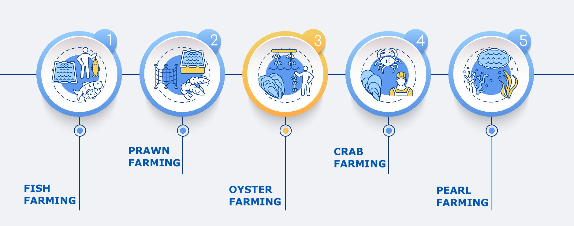 Best Agricultural Business and Agribusiness Ideas (75 ideas)