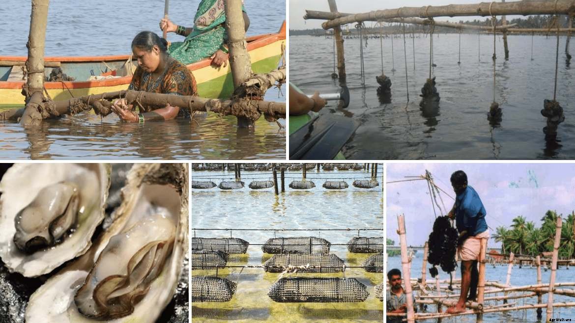 Best Agricultural Business and Agribusiness Ideas (75 ideas)