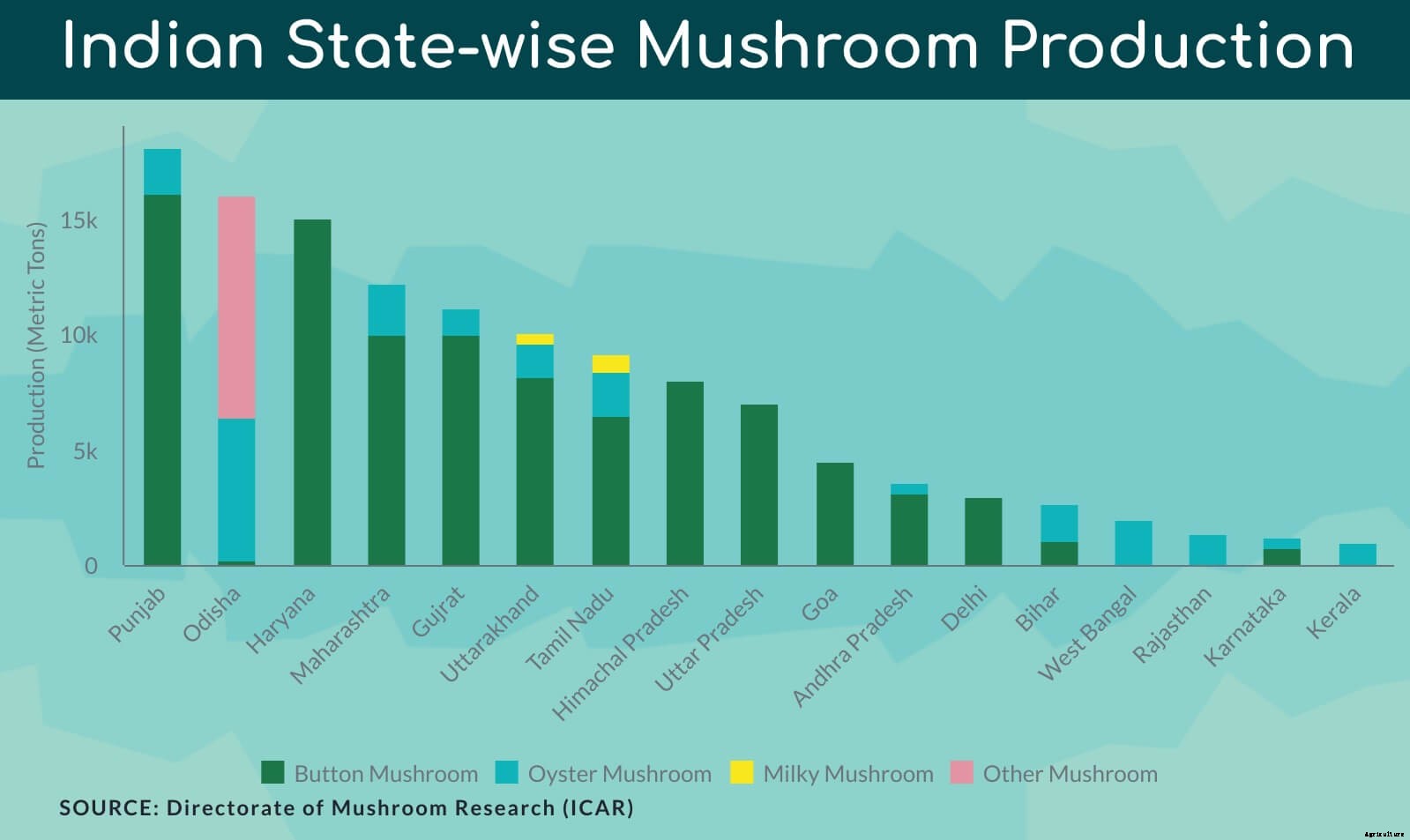 Complete guide to Mushroom farming in India & Market Opportunities