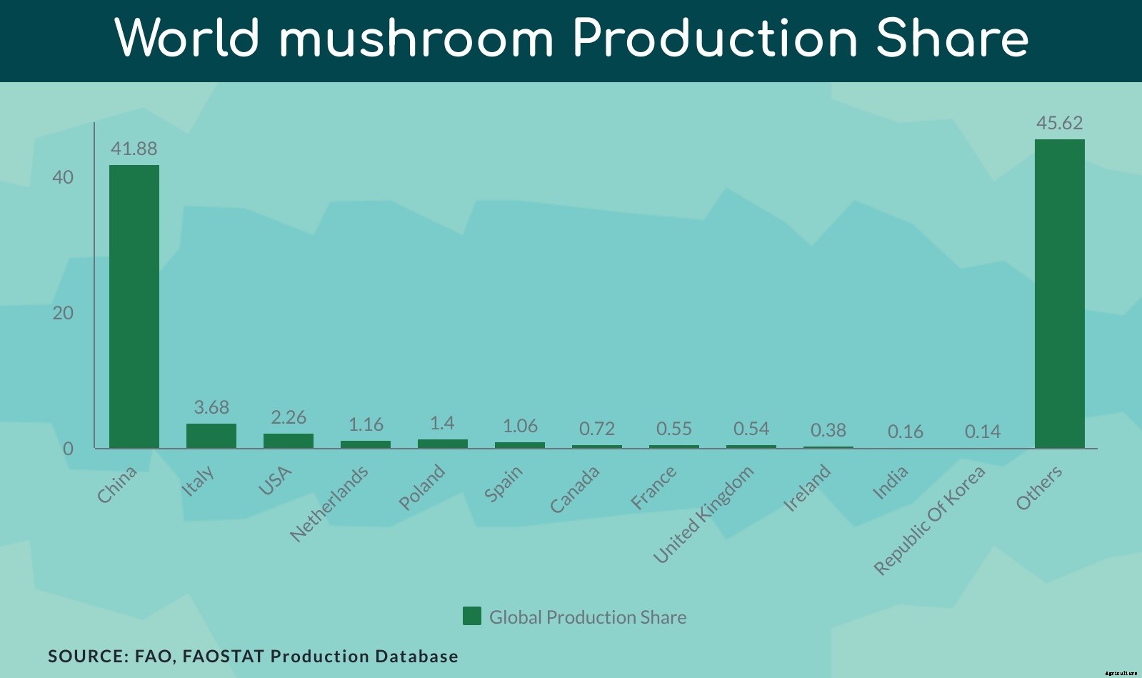 Complete guide to Mushroom farming in India & Market Opportunities