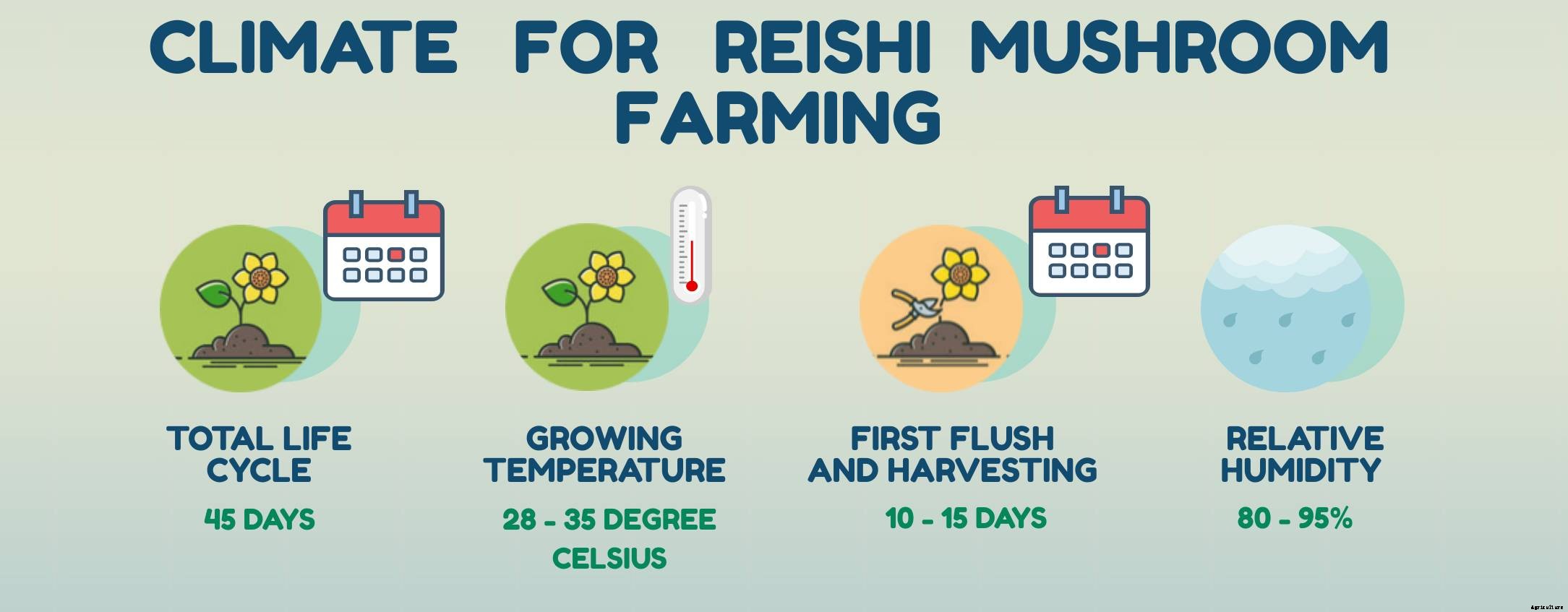 Complete guide to Mushroom farming in India & Market Opportunities