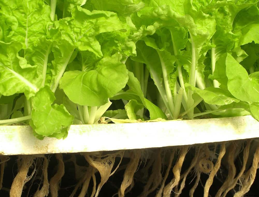 1 Million Pounds of Food Per Acre?! Ultra High Yield Solar Powered Vertical Aquaponics System