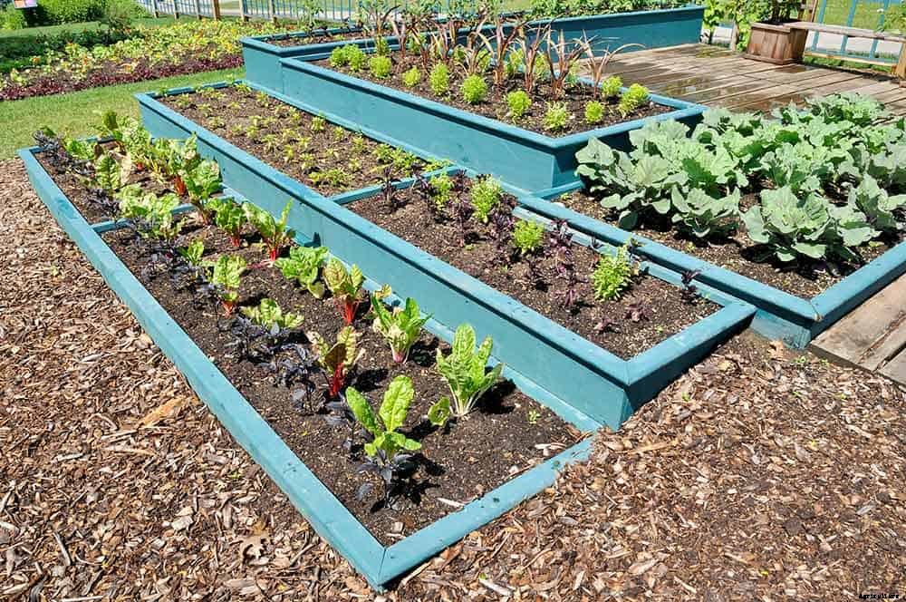 9 Great Reasons To Try Raised Bed Gardening