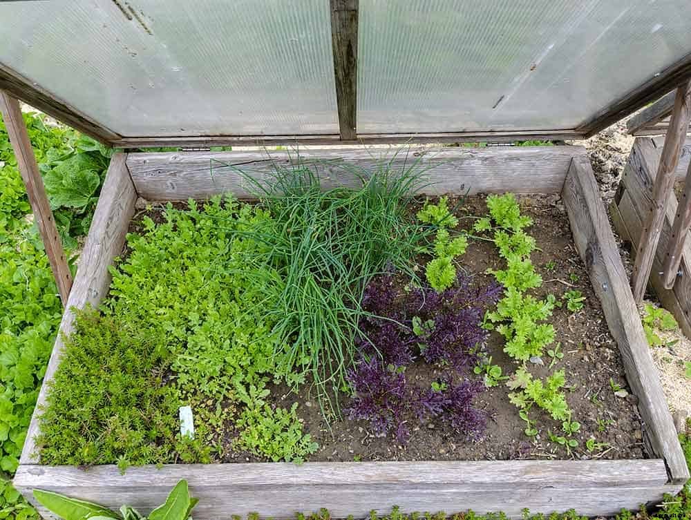 9 Great Reasons To Try Raised Bed Gardening