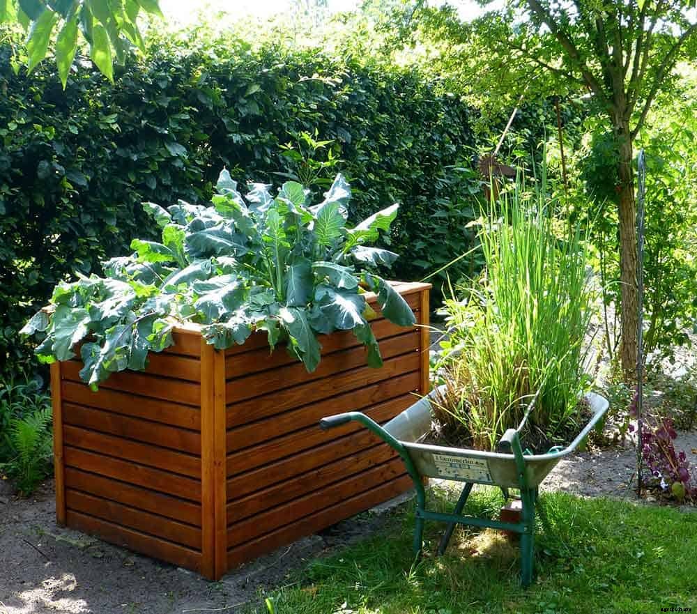 9 Great Reasons To Try Raised Bed Gardening