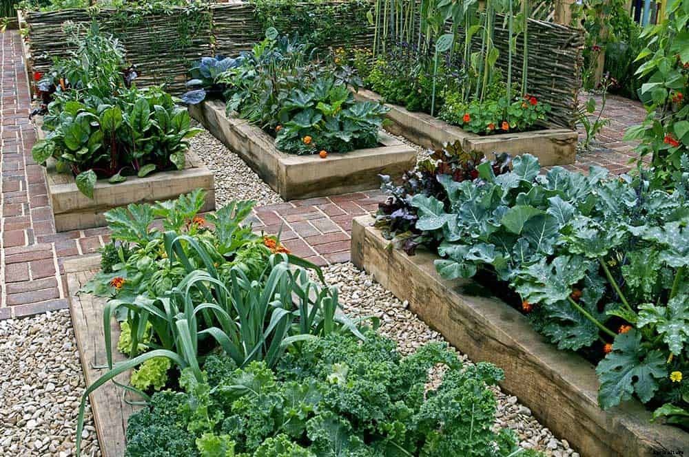 9 Great Reasons To Try Raised Bed Gardening