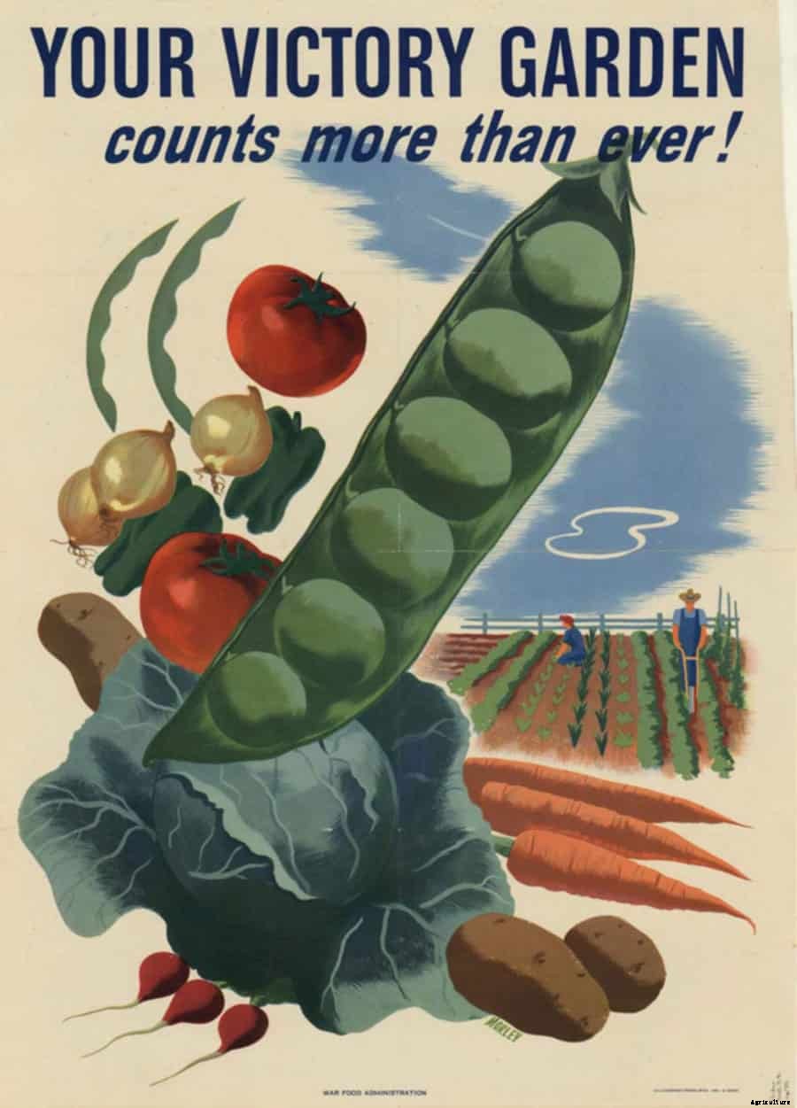 Victory Gardens: the Antidote to Uncertainty