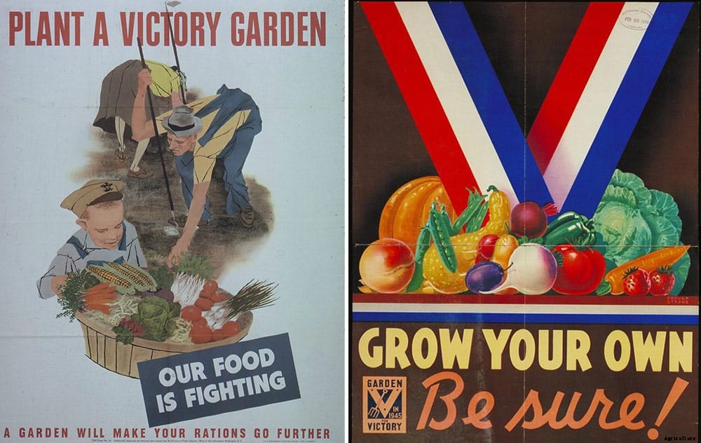Victory Gardens: the Antidote to Uncertainty