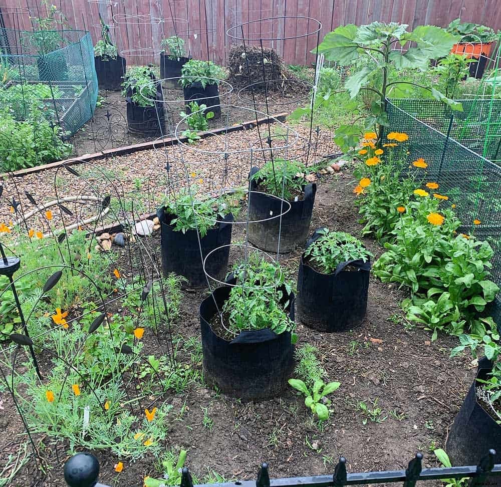 Victory Gardens: the Antidote to Uncertainty