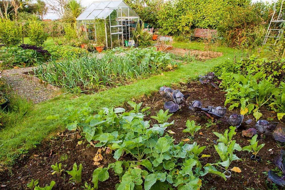 Victory Gardens: the Antidote to Uncertainty