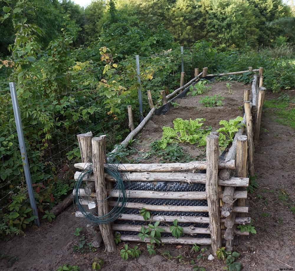 Build Raised Garden Beds Out of Almost Anything