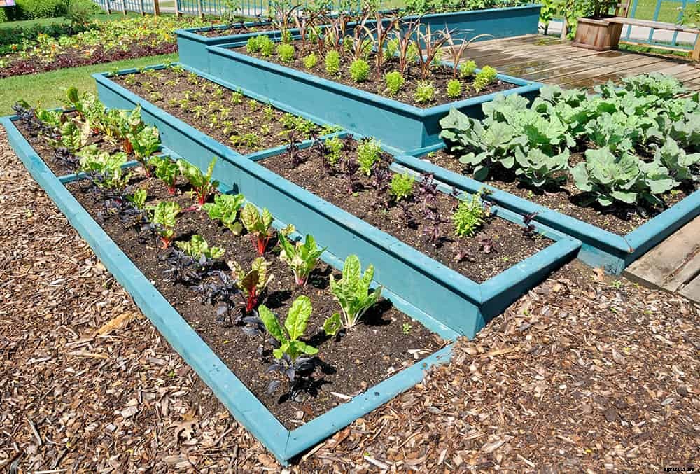 Build Raised Garden Beds Out of Almost Anything
