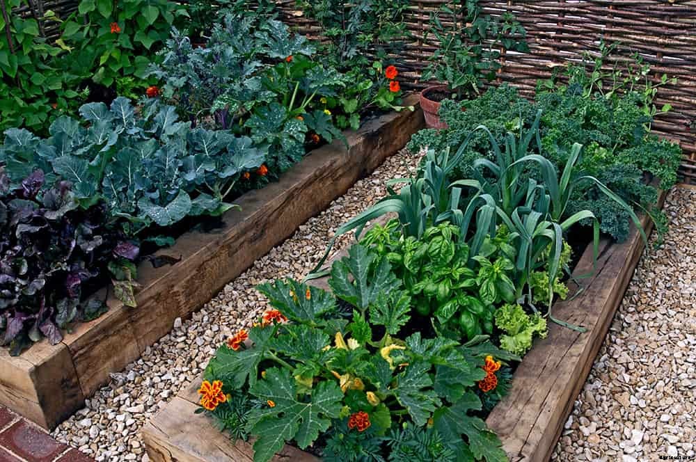 Build Raised Garden Beds Out of Almost Anything