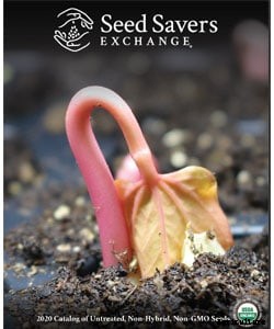 40+ Free Seed Catalogs