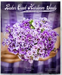 40+ Free Seed Catalogs