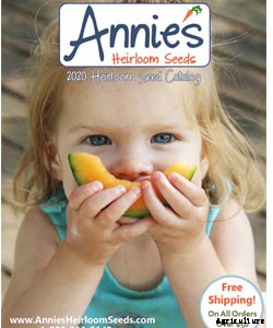 40+ Free Seed Catalogs