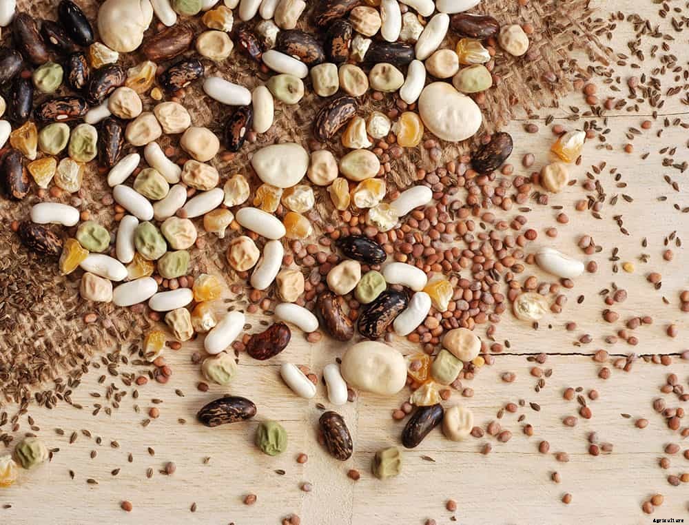 40+ Free Seed Catalogs