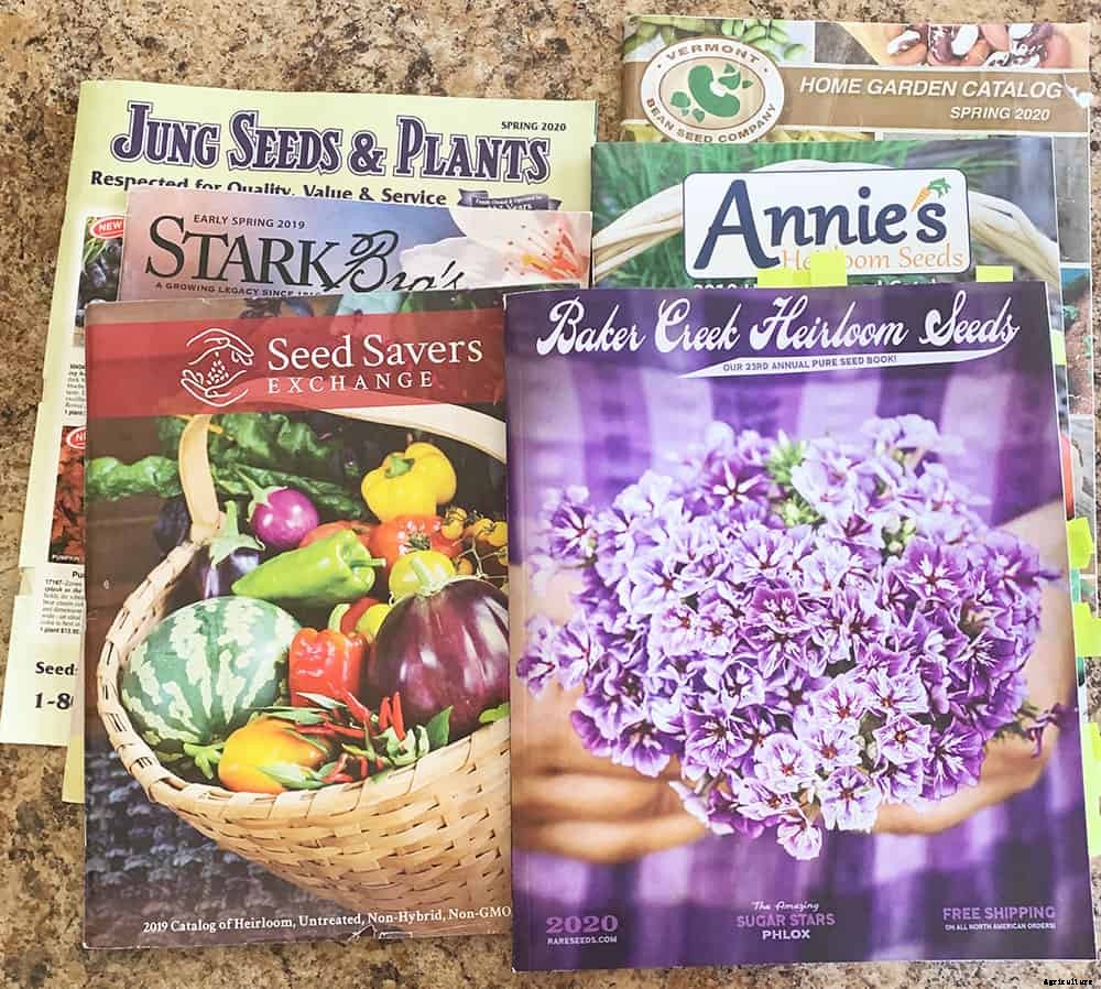 40+ Free Seed Catalogs