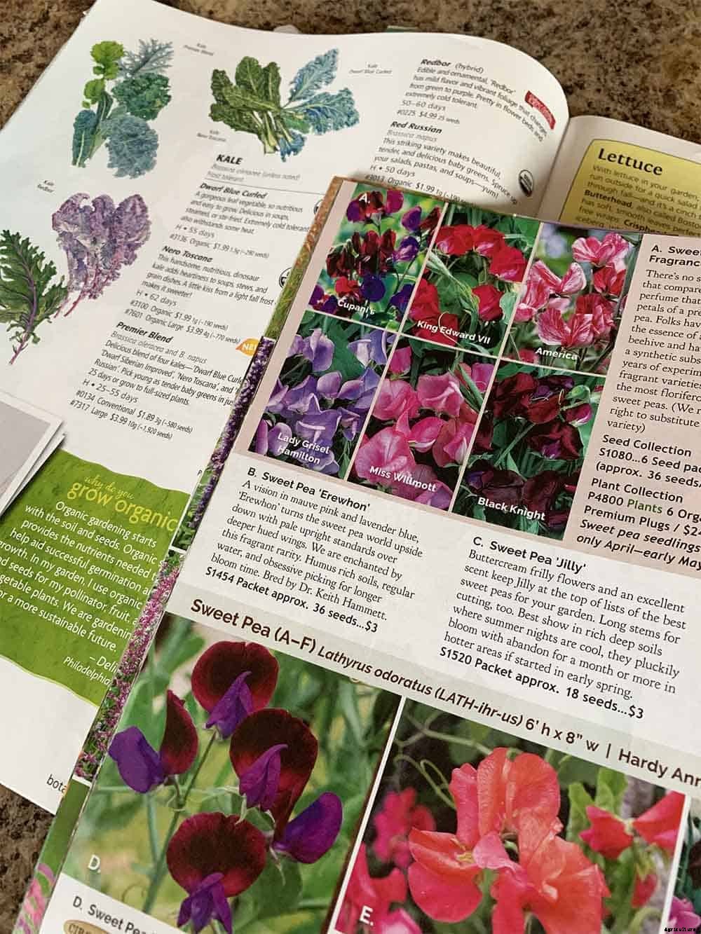 40+ Free Seed Catalogs
