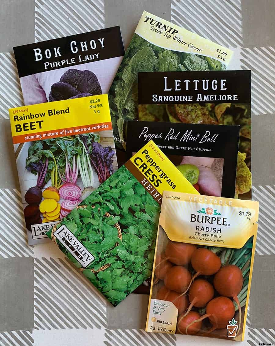 40+ Free Seed Catalogs