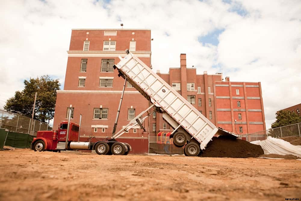 Edible Schoolyard NYC Brings Gardens To Low-Income Schools