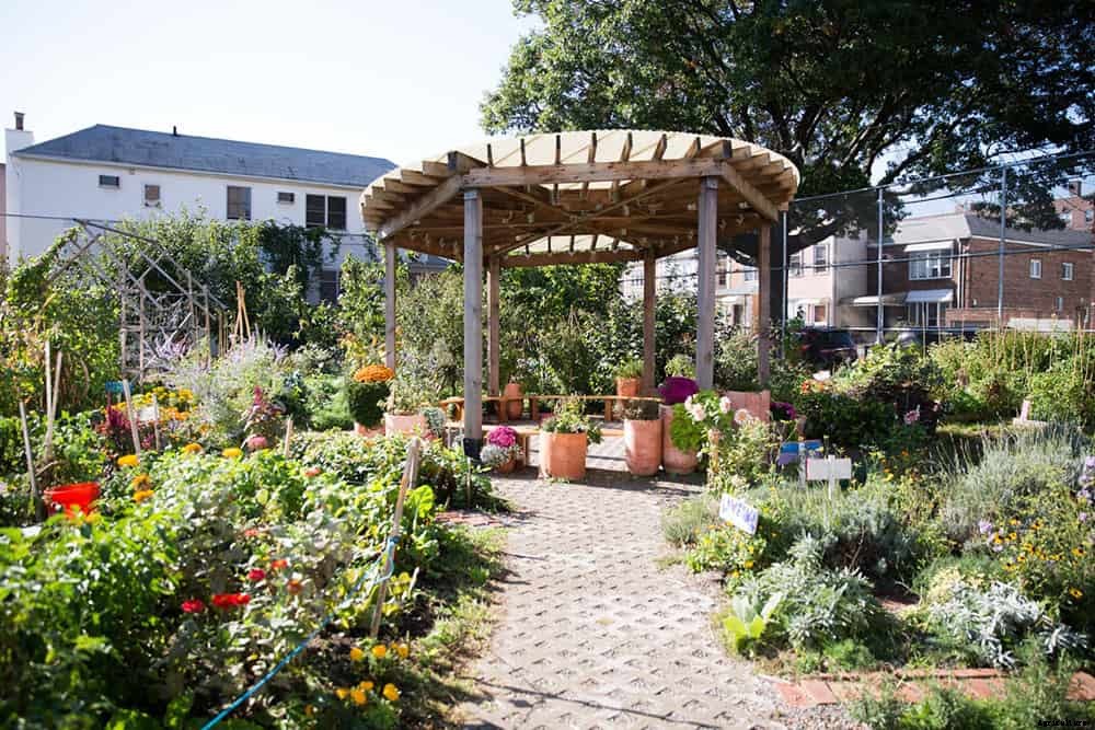 Edible Schoolyard NYC Brings Gardens To Low-Income Schools