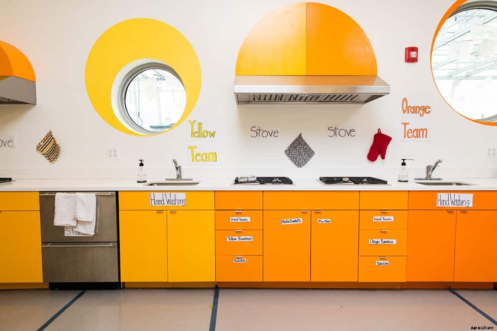 Edible Schoolyard NYC Brings Gardens To Low-Income Schools