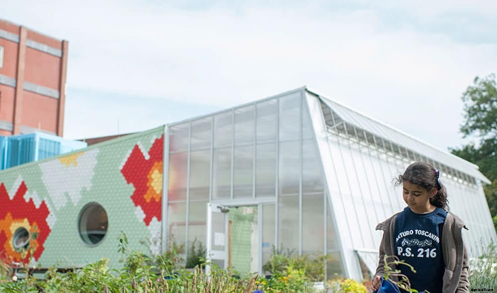 Edible Schoolyard NYC Brings Gardens To Low-Income Schools