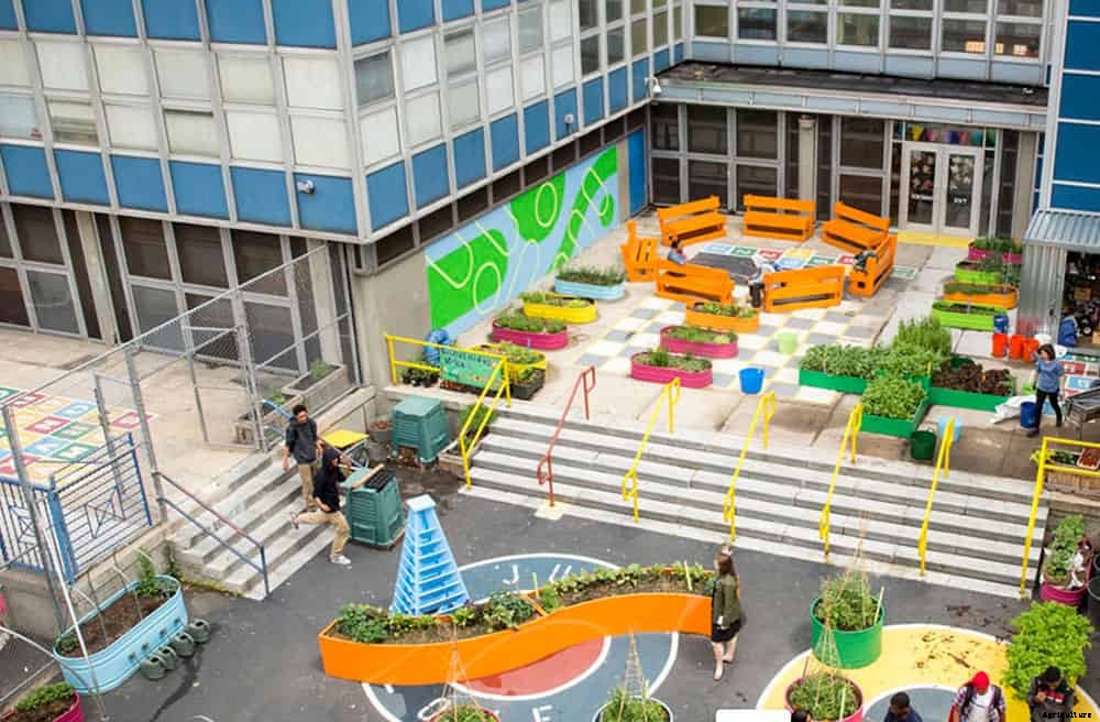 Edible Schoolyard NYC Brings Gardens To Low-Income Schools