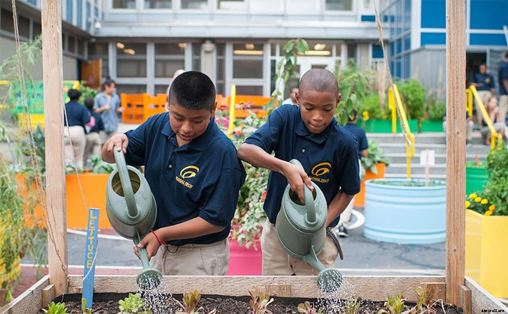 Edible Schoolyard NYC Brings Gardens To Low-Income Schools