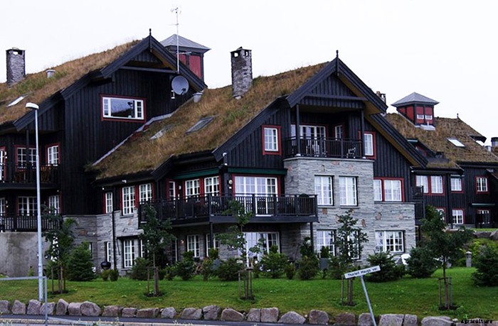 4 Best Reasons To Grow a Living Roof! Beautiful, Beneficial, Efficient, Green Living Rooftops