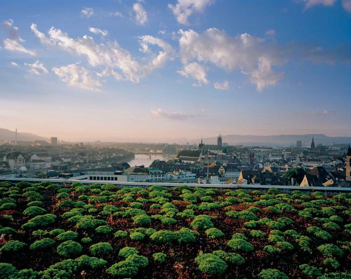 4 Best Reasons To Grow a Living Roof! Beautiful, Beneficial, Efficient, Green Living Rooftops