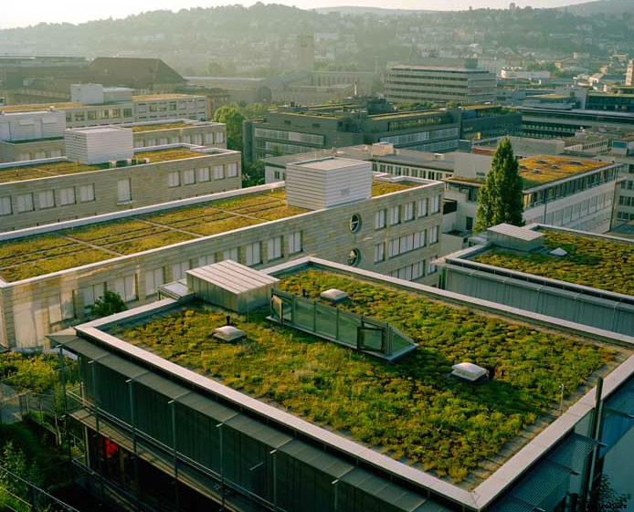 4 Best Reasons To Grow a Living Roof! Beautiful, Beneficial, Efficient, Green Living Rooftops