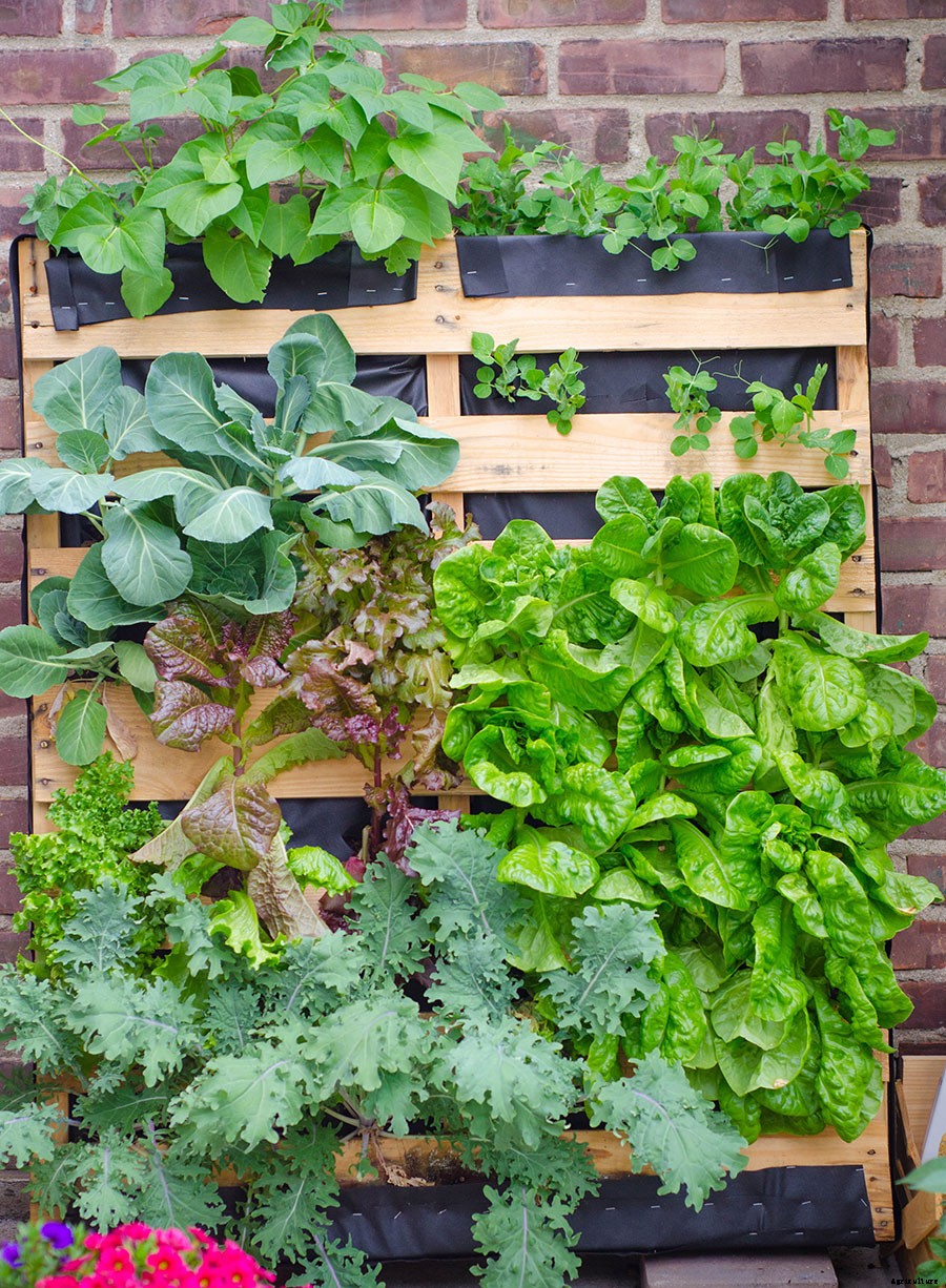 Upcycle Old Pallets to Make Beautiful Vertical Gardens